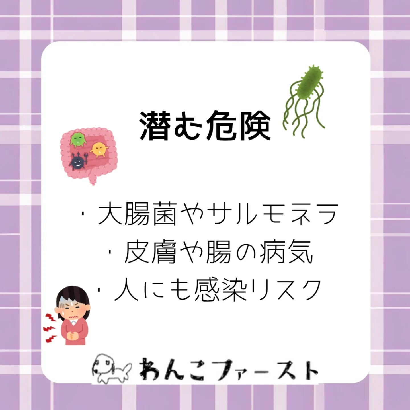 横浜市青葉区のペットシッターわんこファーストです♪