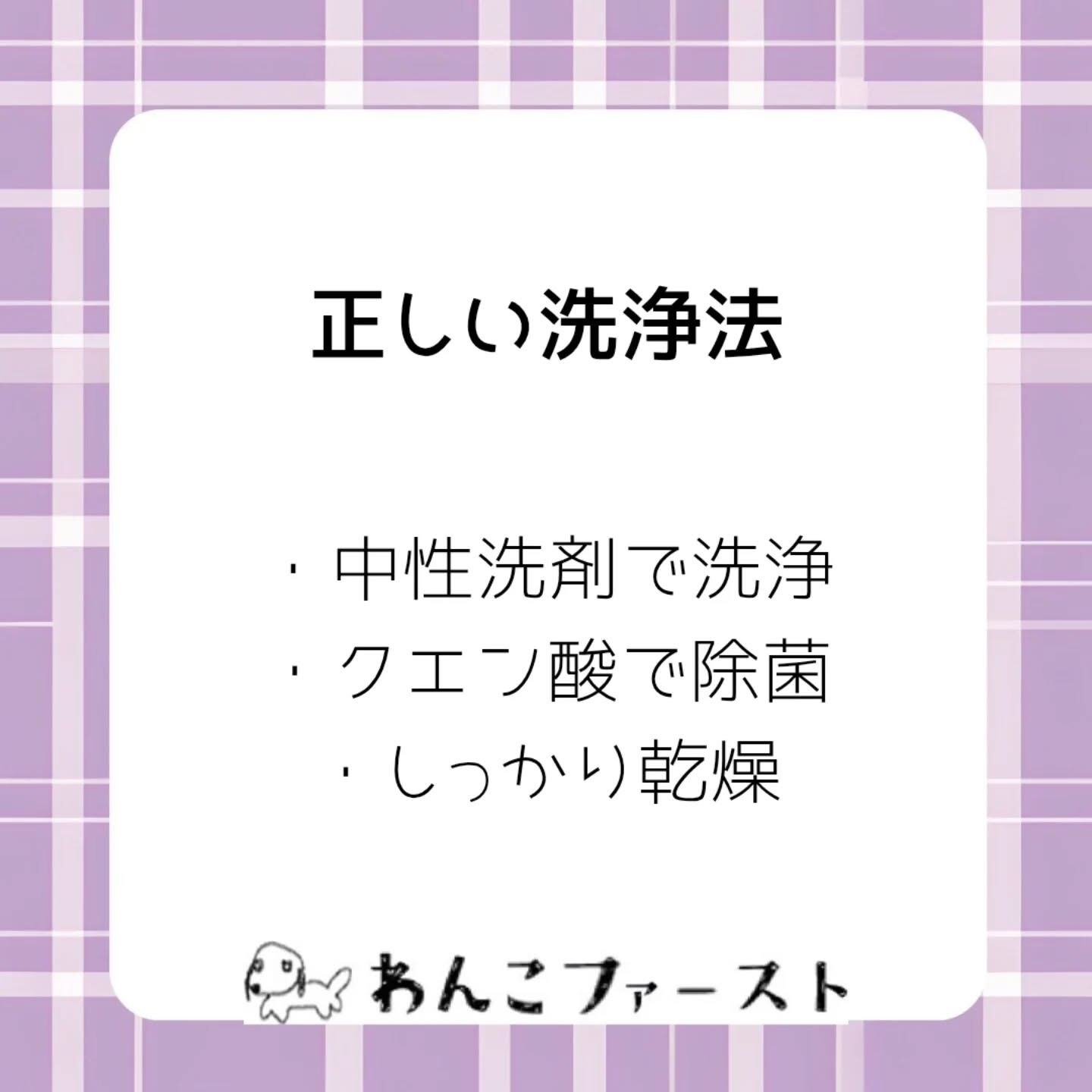 横浜市青葉区のペットシッターわんこファーストです♪