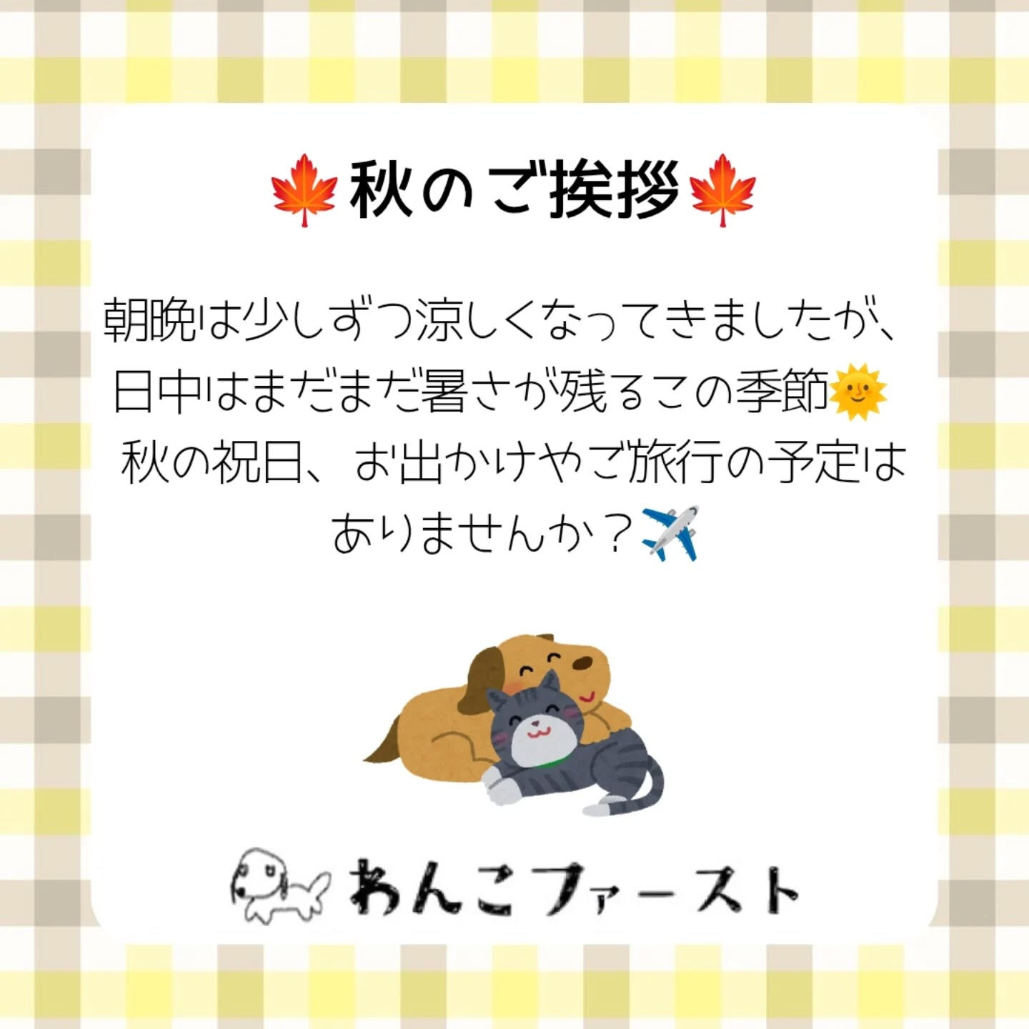 横浜市青葉区のペットシッターわんこファーストです♪