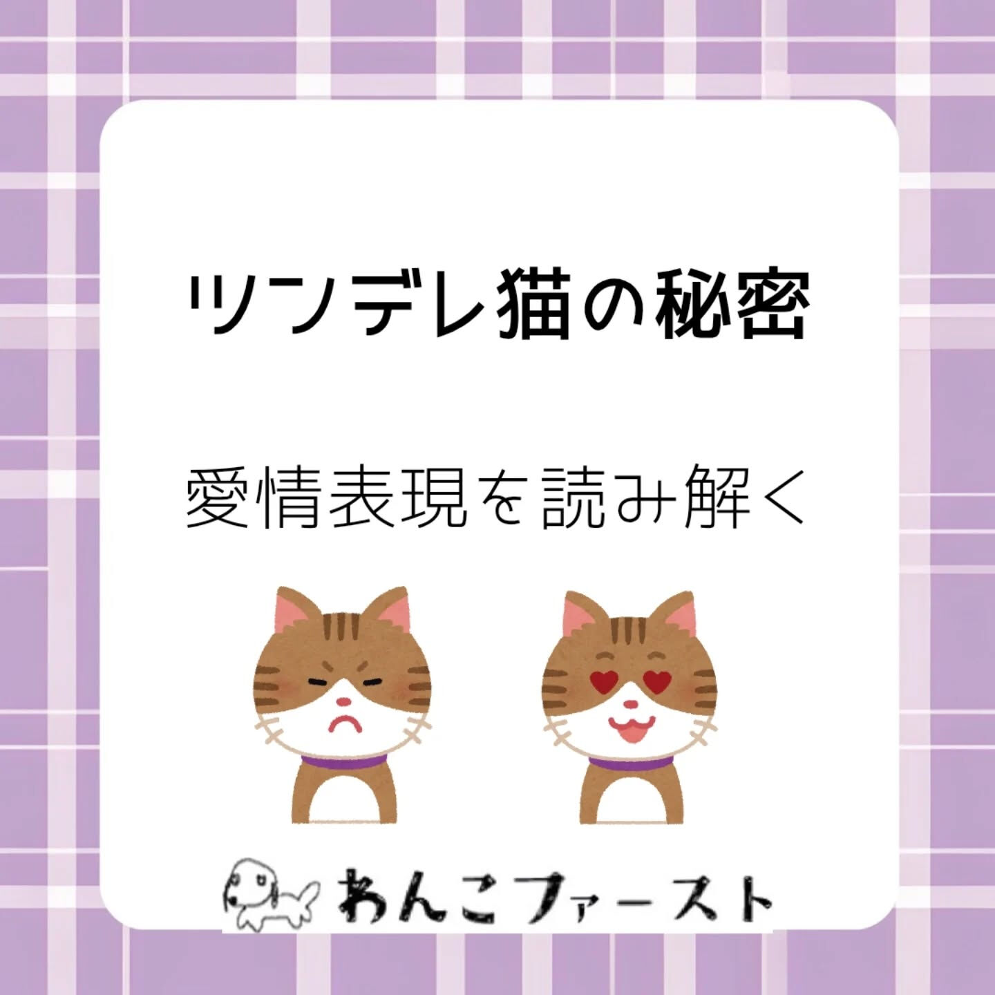 横浜市青葉区のペットシッターわんこファーストです♪