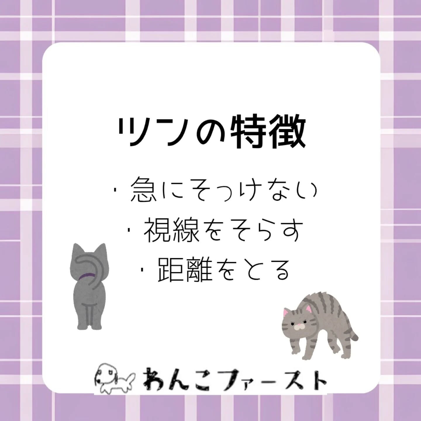 横浜市青葉区のペットシッターわんこファーストです♪
