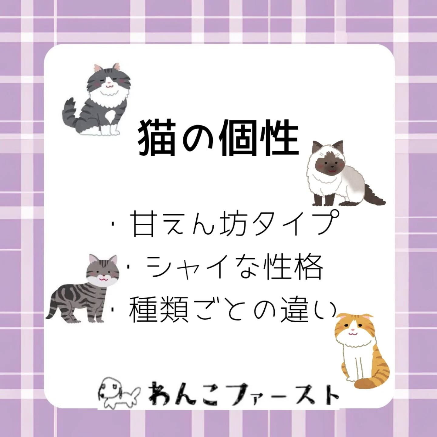 横浜市青葉区のペットシッターわんこファーストです♪