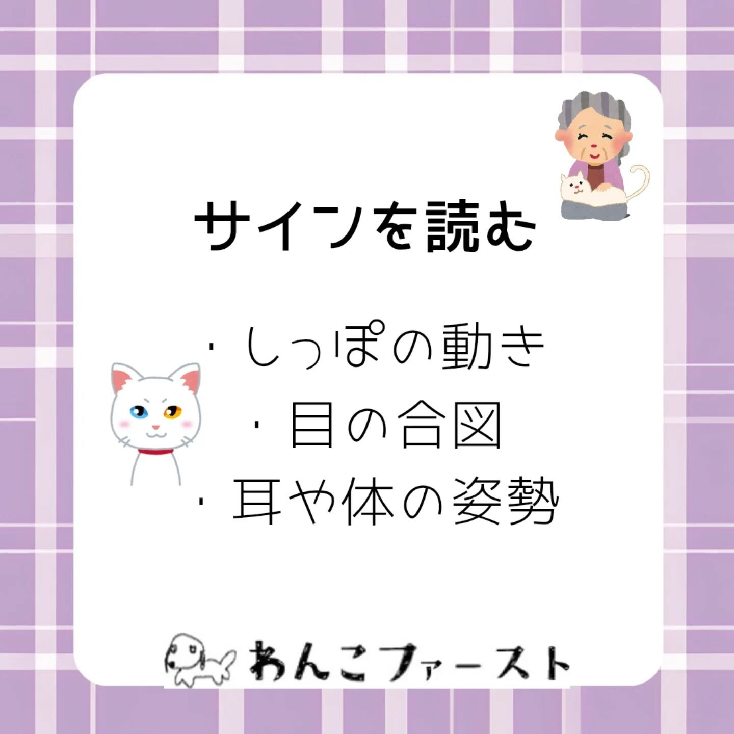 横浜市青葉区のペットシッターわんこファーストです♪
