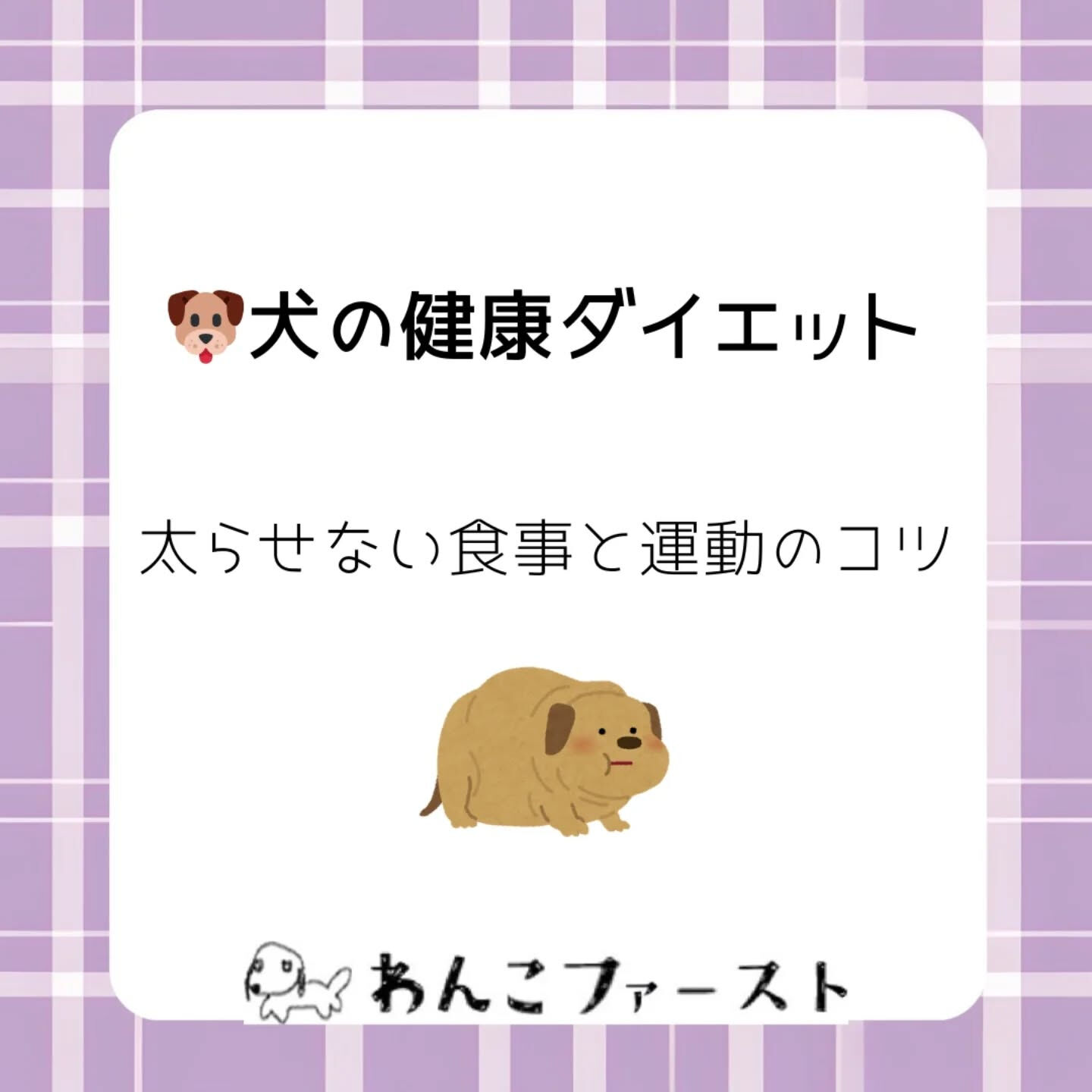 横浜市青葉区のペットシッターわんこファーストです♪