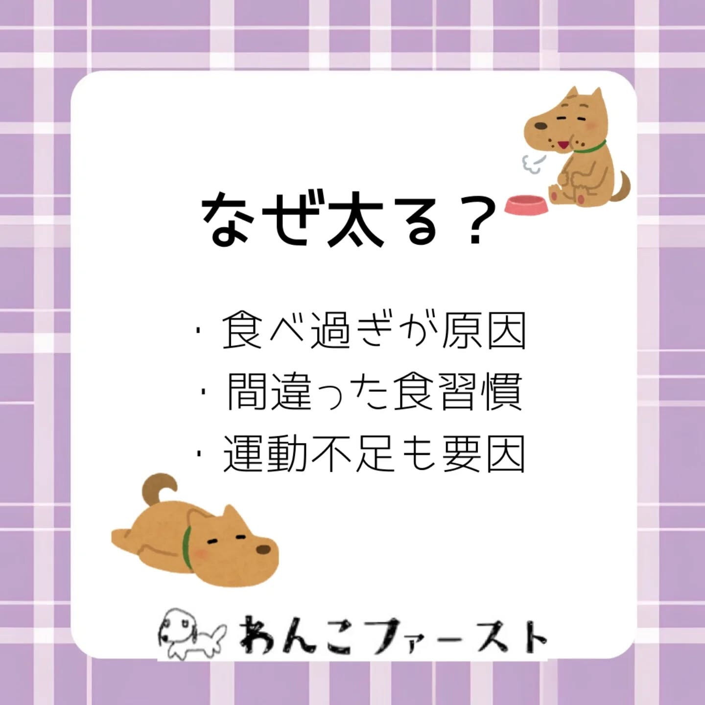 横浜市青葉区のペットシッターわんこファーストです♪