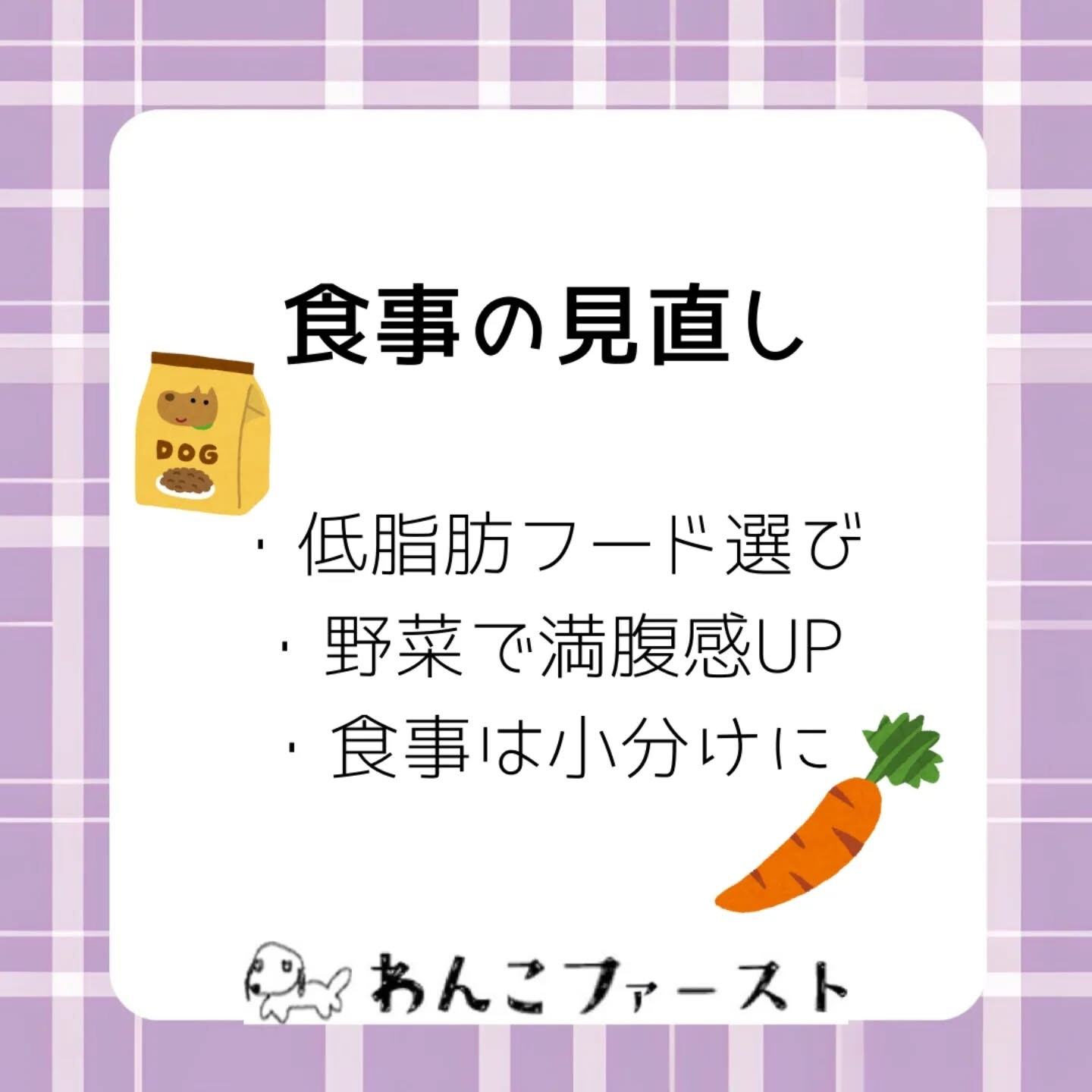 横浜市青葉区のペットシッターわんこファーストです♪