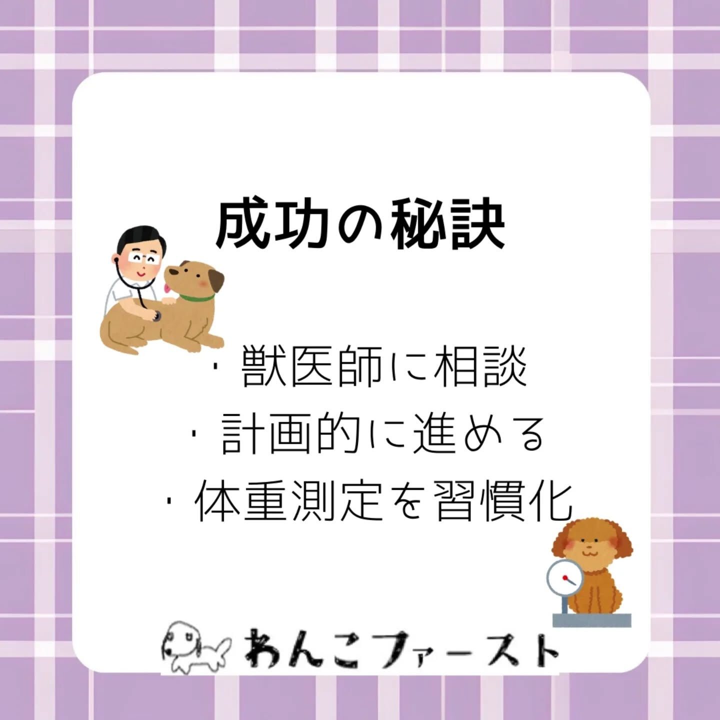 横浜市青葉区のペットシッターわんこファーストです♪
