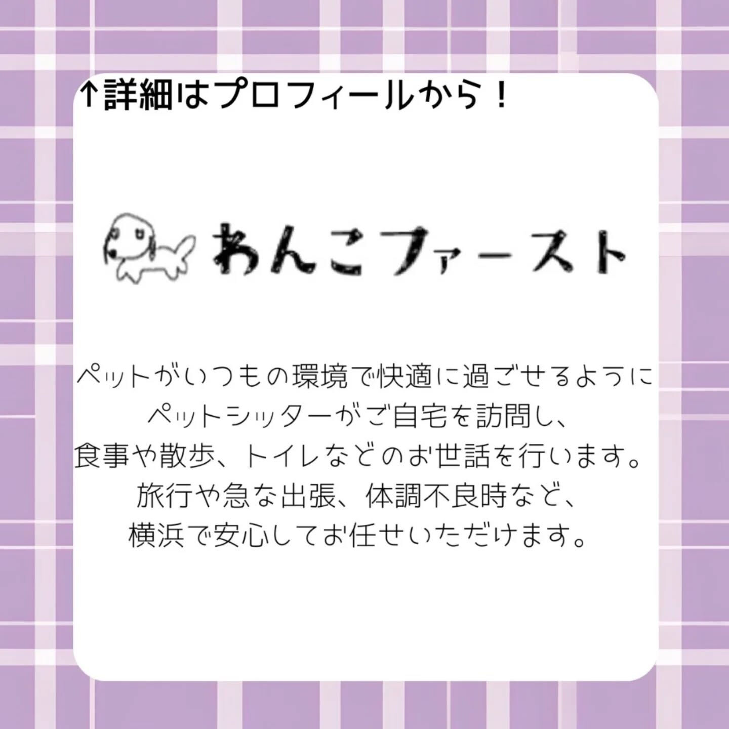 横浜市青葉区のペットシッターわんこファーストです♪