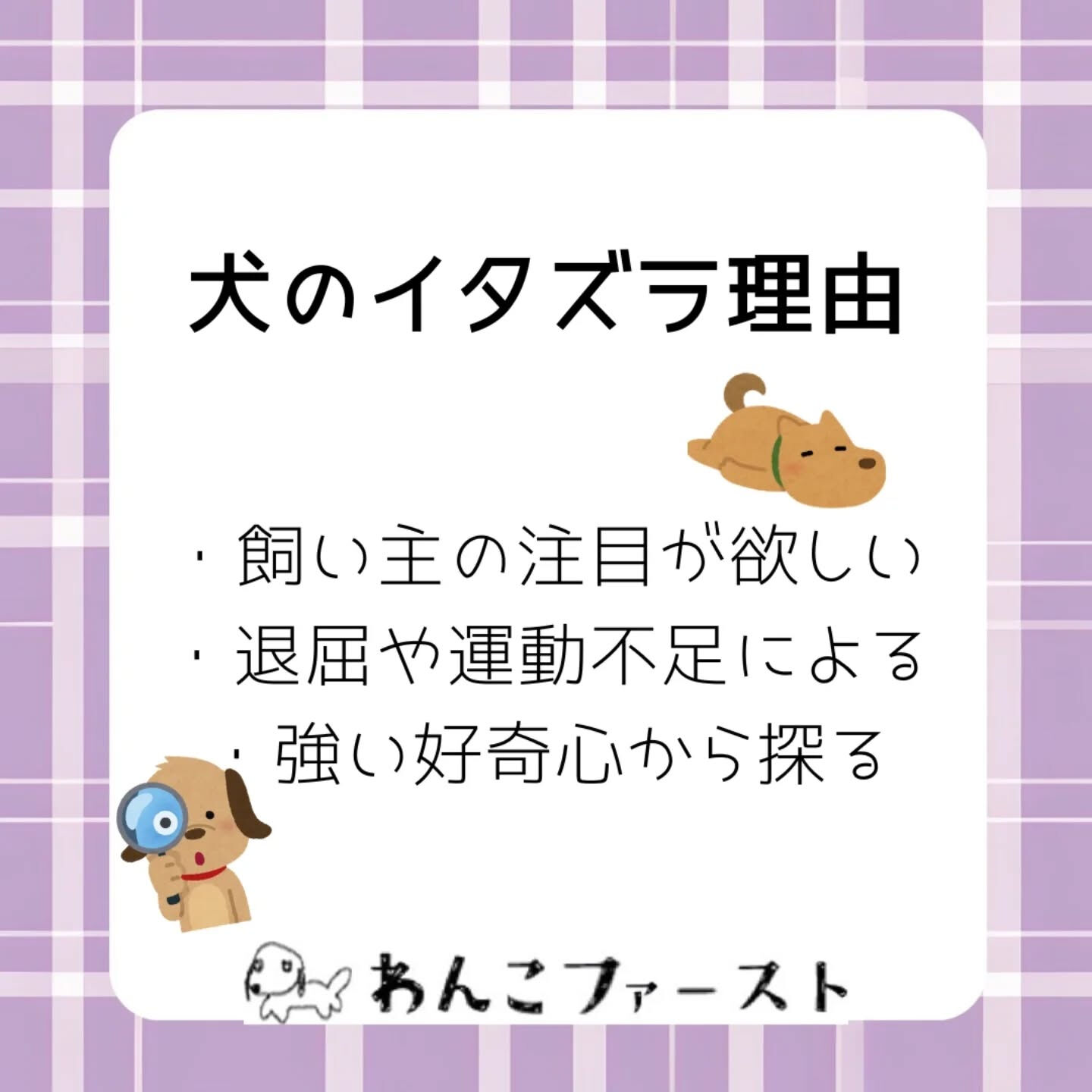 横浜市青葉区のペットシッターわんこファーストです♪