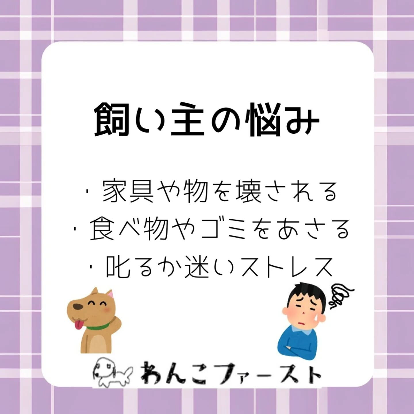 横浜市青葉区のペットシッターわんこファーストです♪