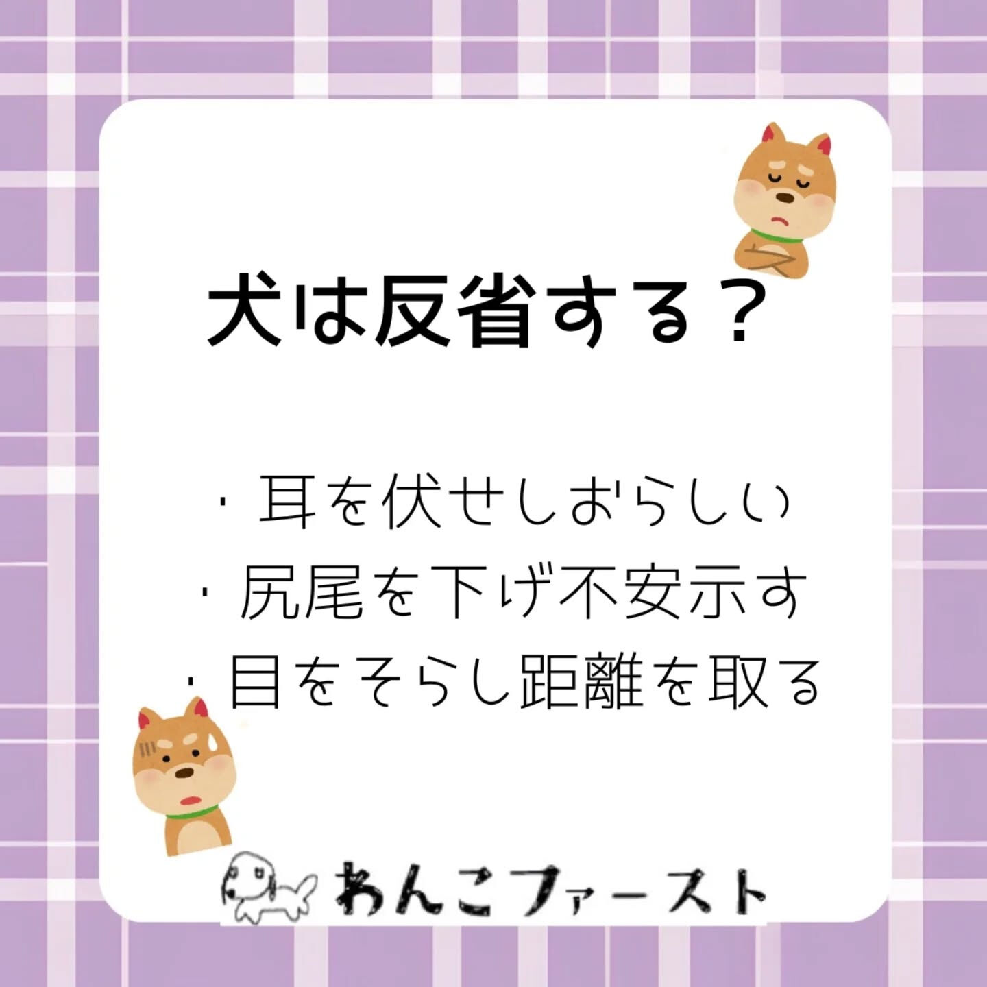 横浜市青葉区のペットシッターわんこファーストです♪