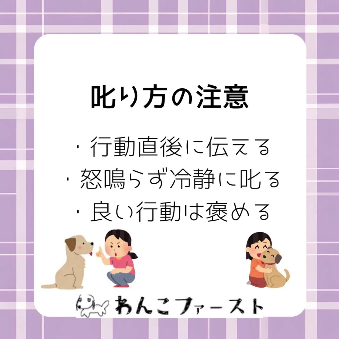 横浜市青葉区のペットシッターわんこファーストです♪