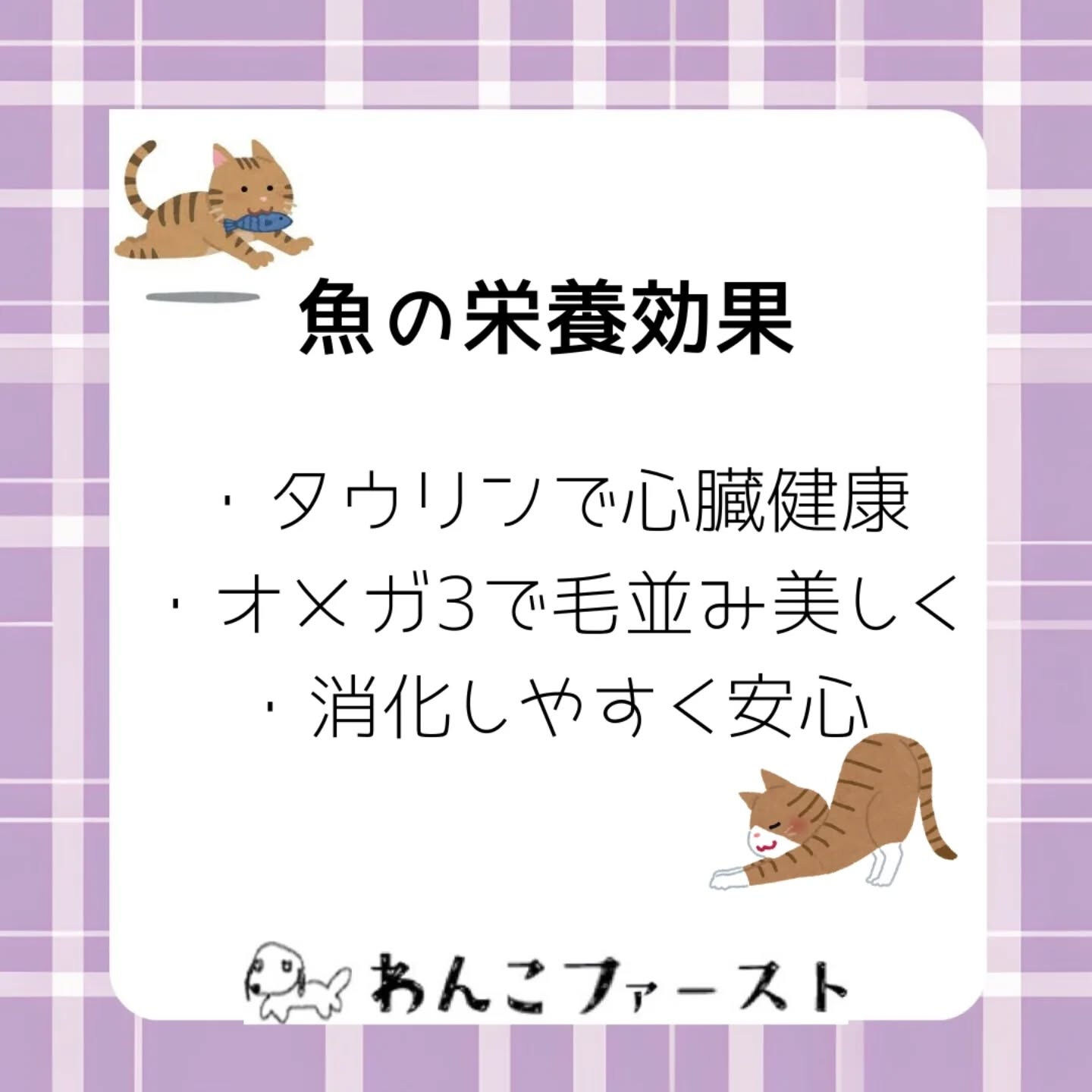 横浜市青葉区のペットシッターわんこファーストです♪