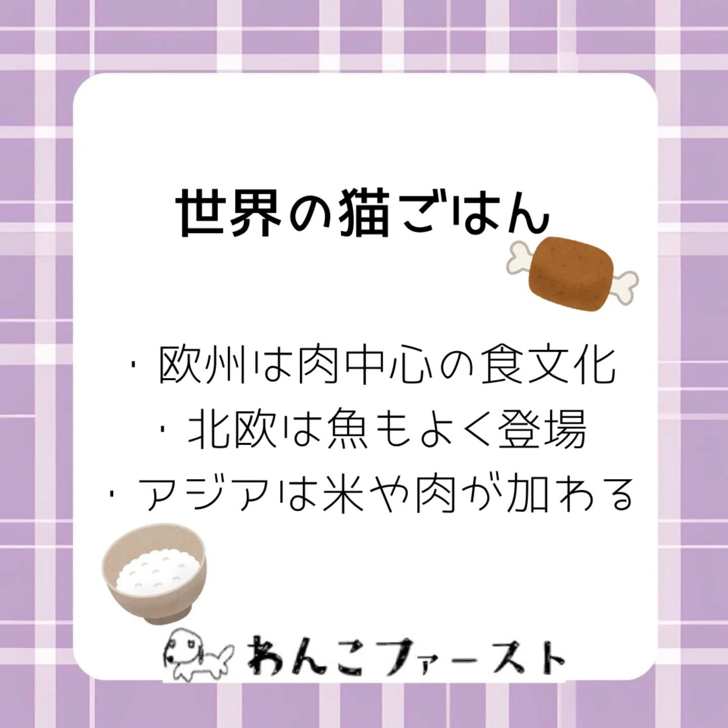 横浜市青葉区のペットシッターわんこファーストです♪