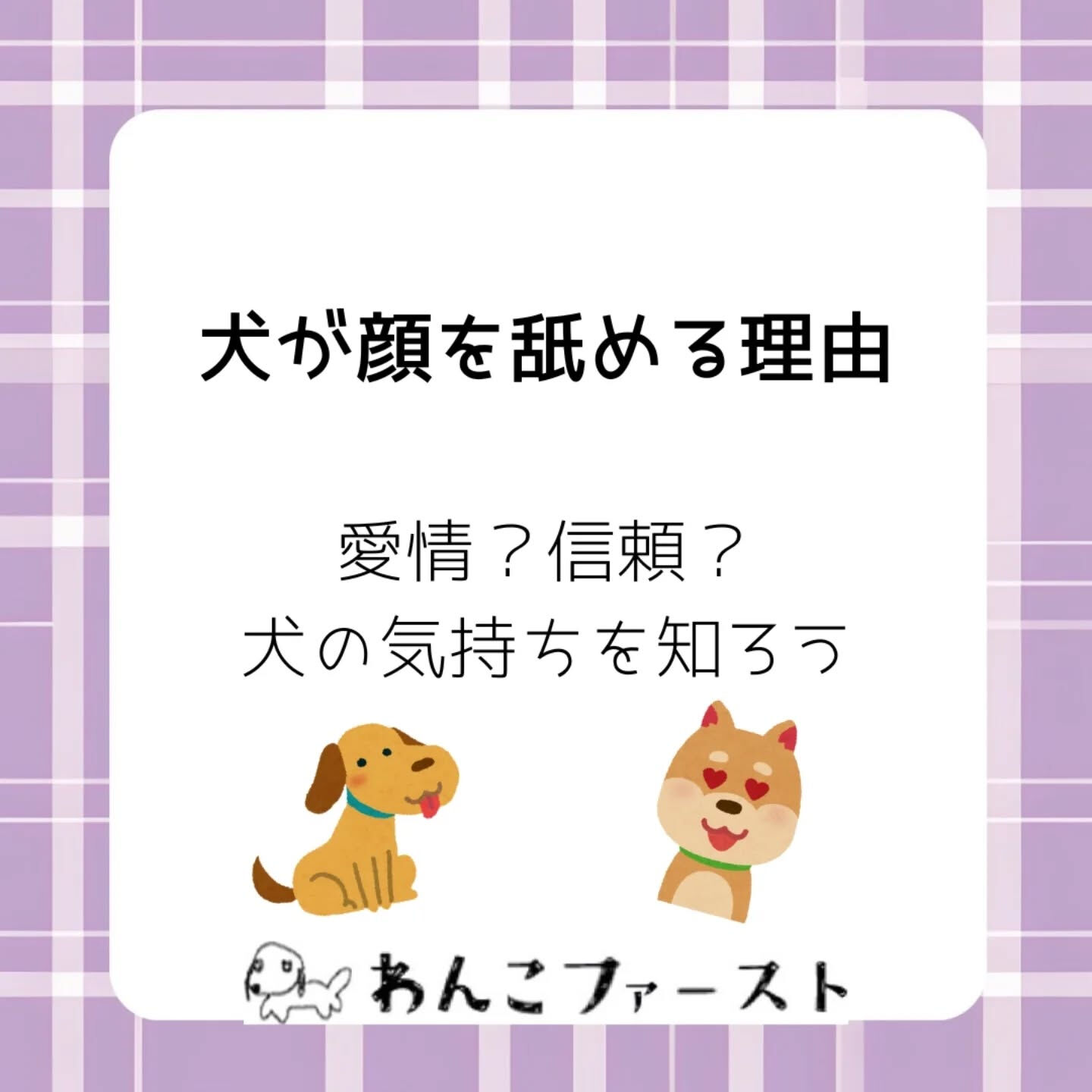 横浜市青葉区のペットシッターわんこファーストです♪