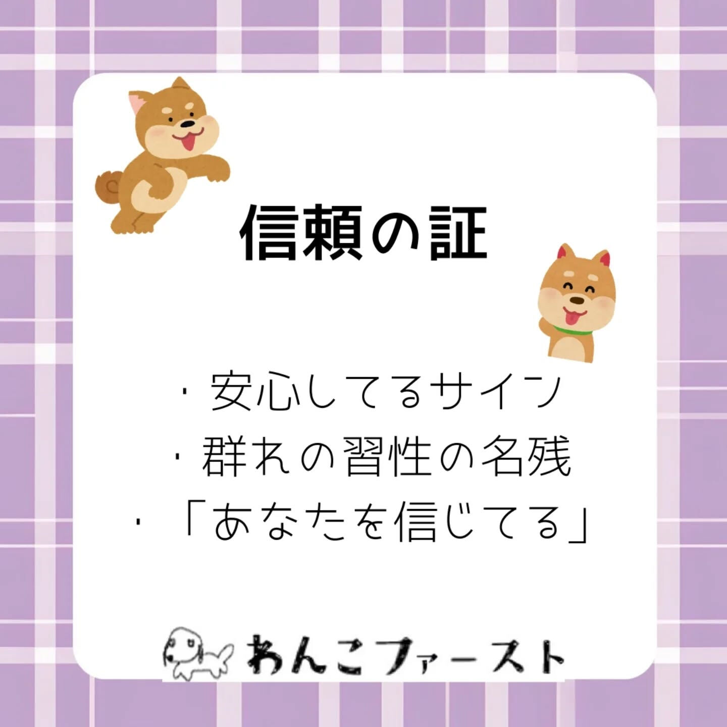 横浜市青葉区のペットシッターわんこファーストです♪