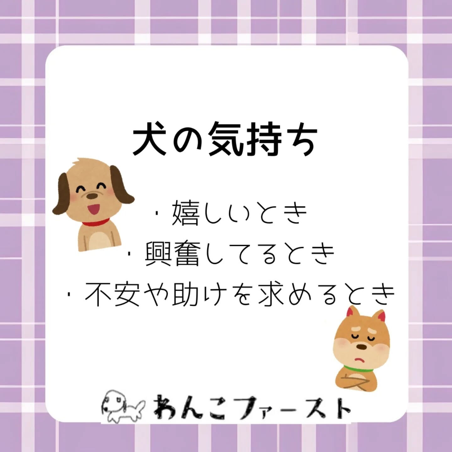 横浜市青葉区のペットシッターわんこファーストです♪