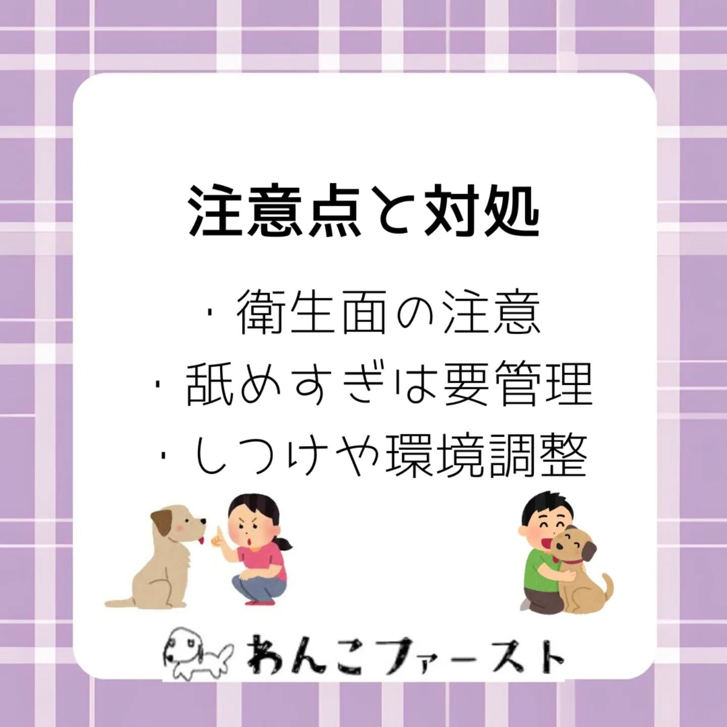 横浜市青葉区のペットシッターわんこファーストです♪