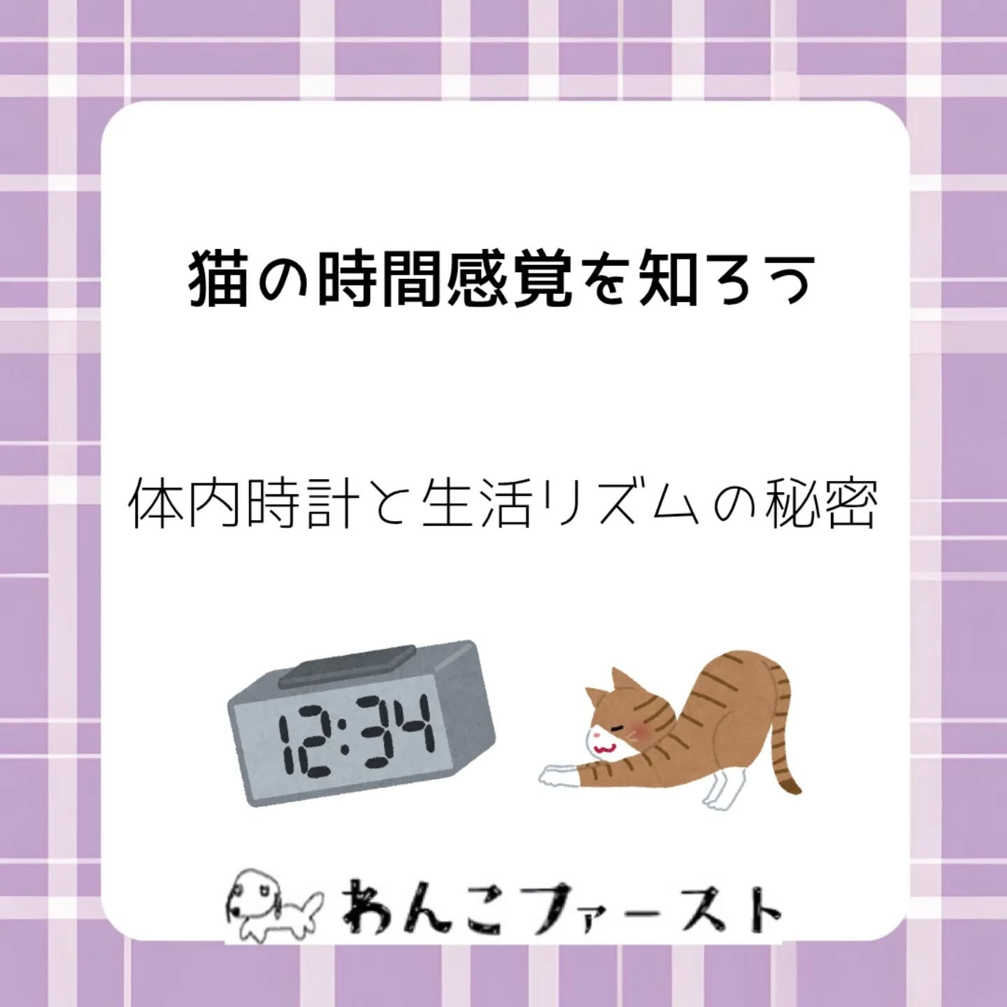 横浜市青葉区のペットシッターわんこファーストです♪