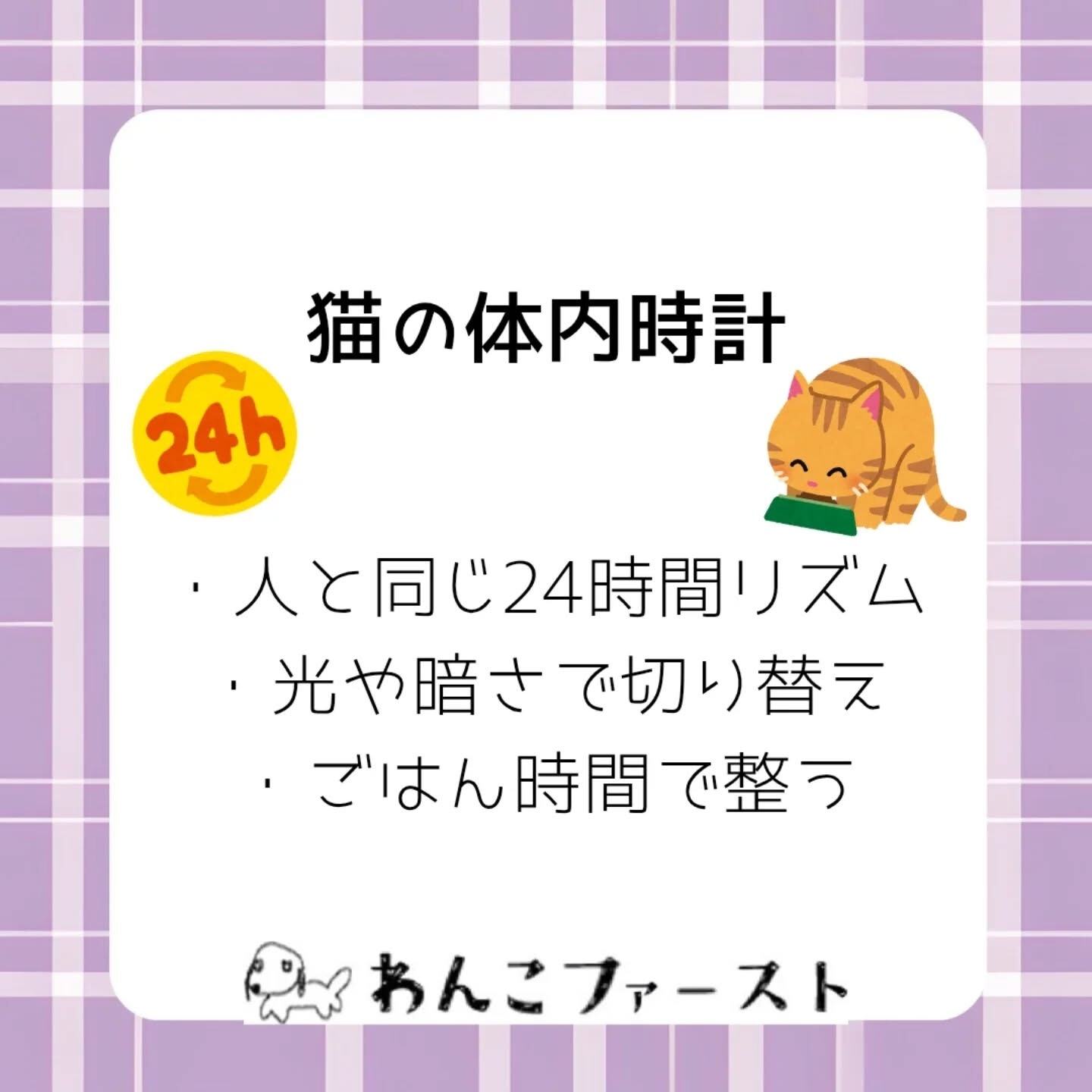 横浜市青葉区のペットシッターわんこファーストです♪
