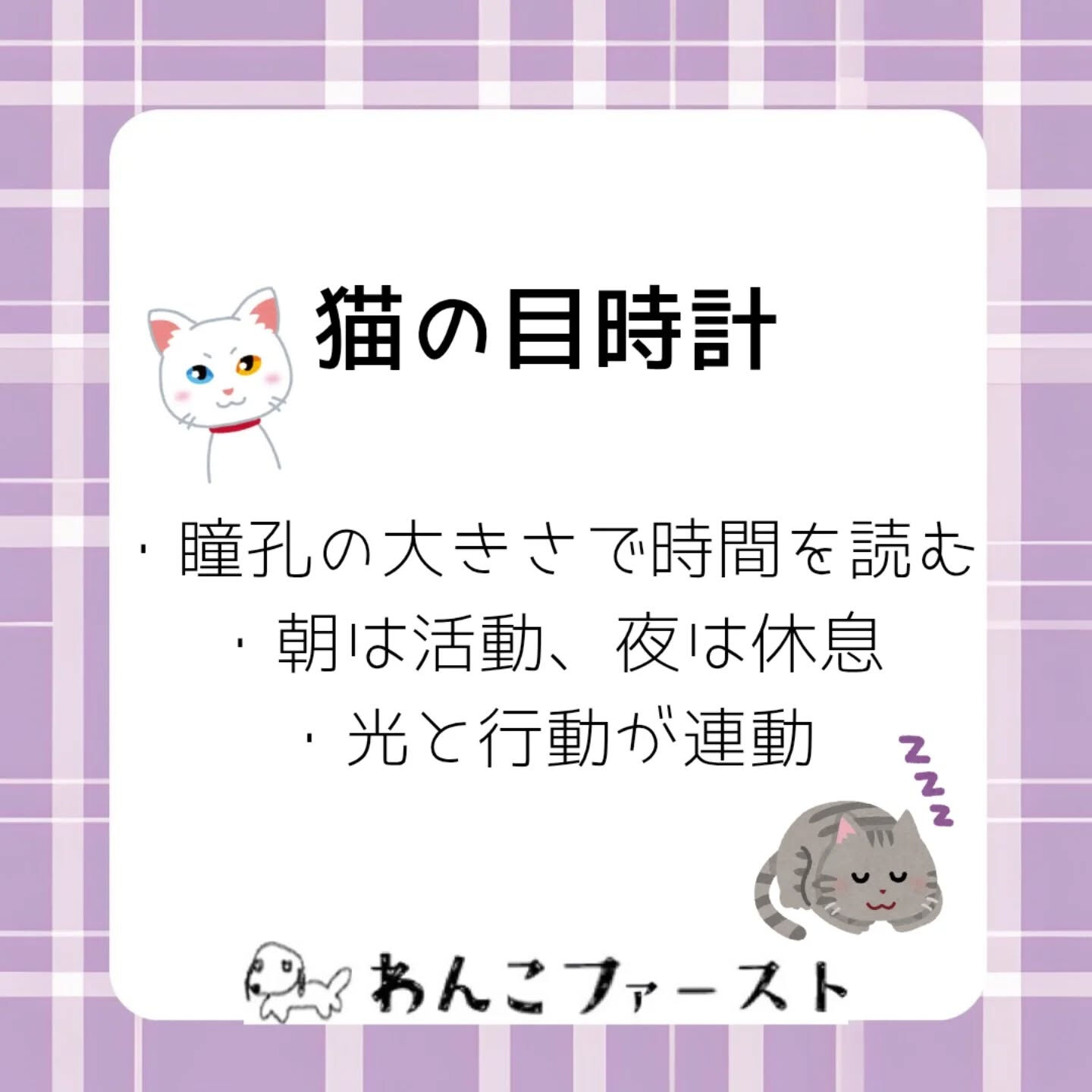 横浜市青葉区のペットシッターわんこファーストです♪