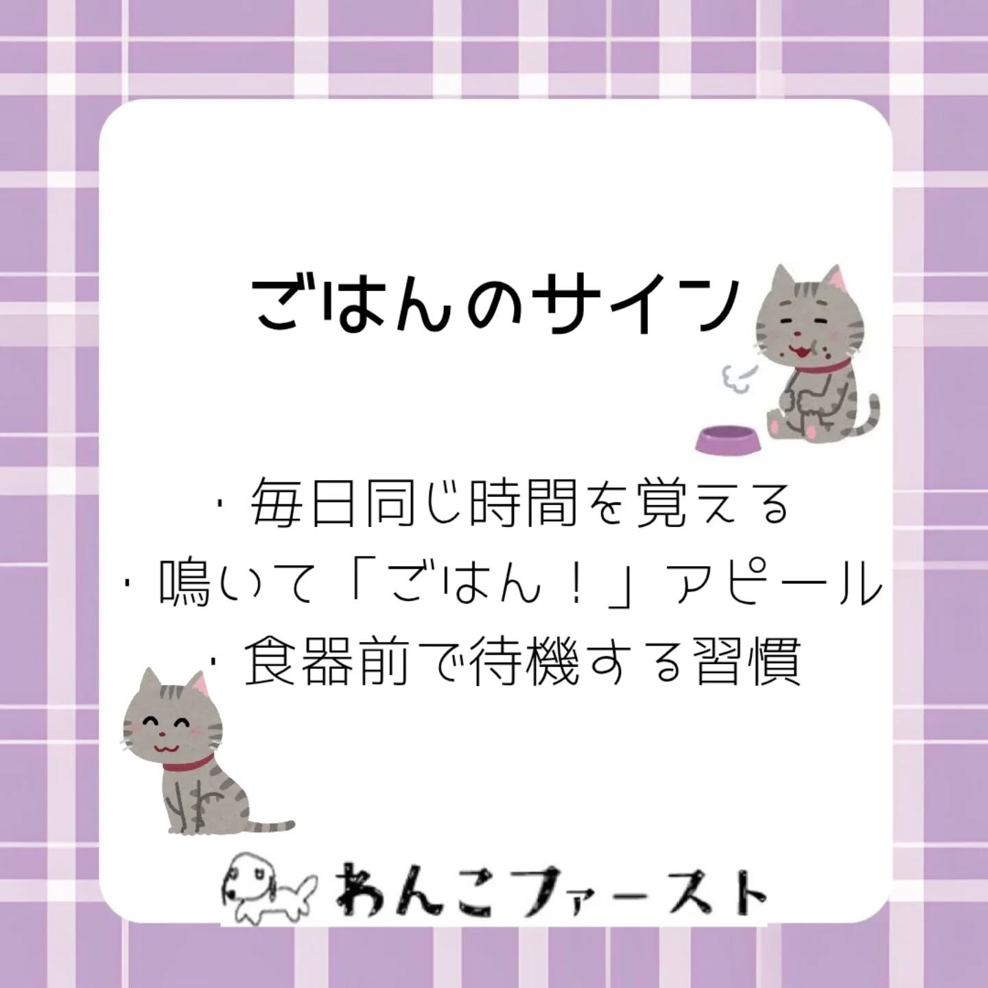 横浜市青葉区のペットシッターわんこファーストです♪