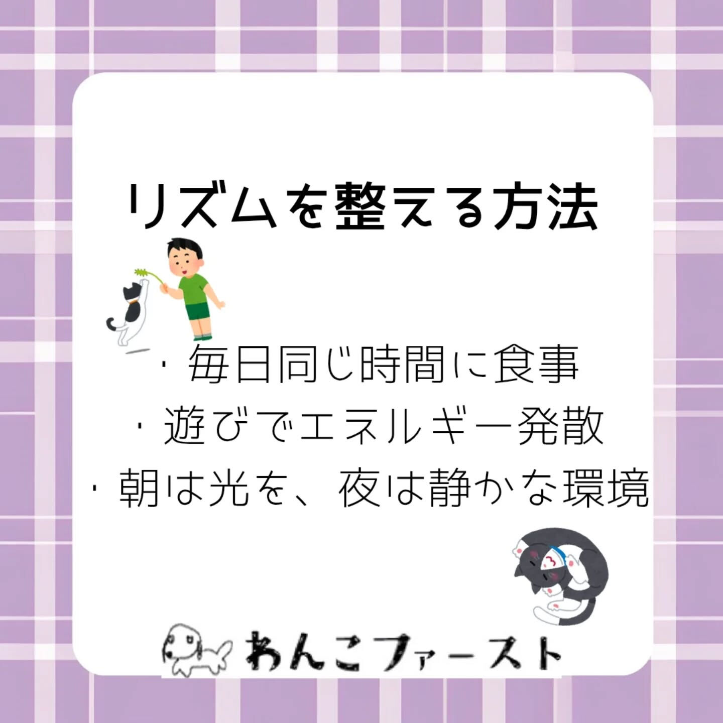 横浜市青葉区のペットシッターわんこファーストです♪