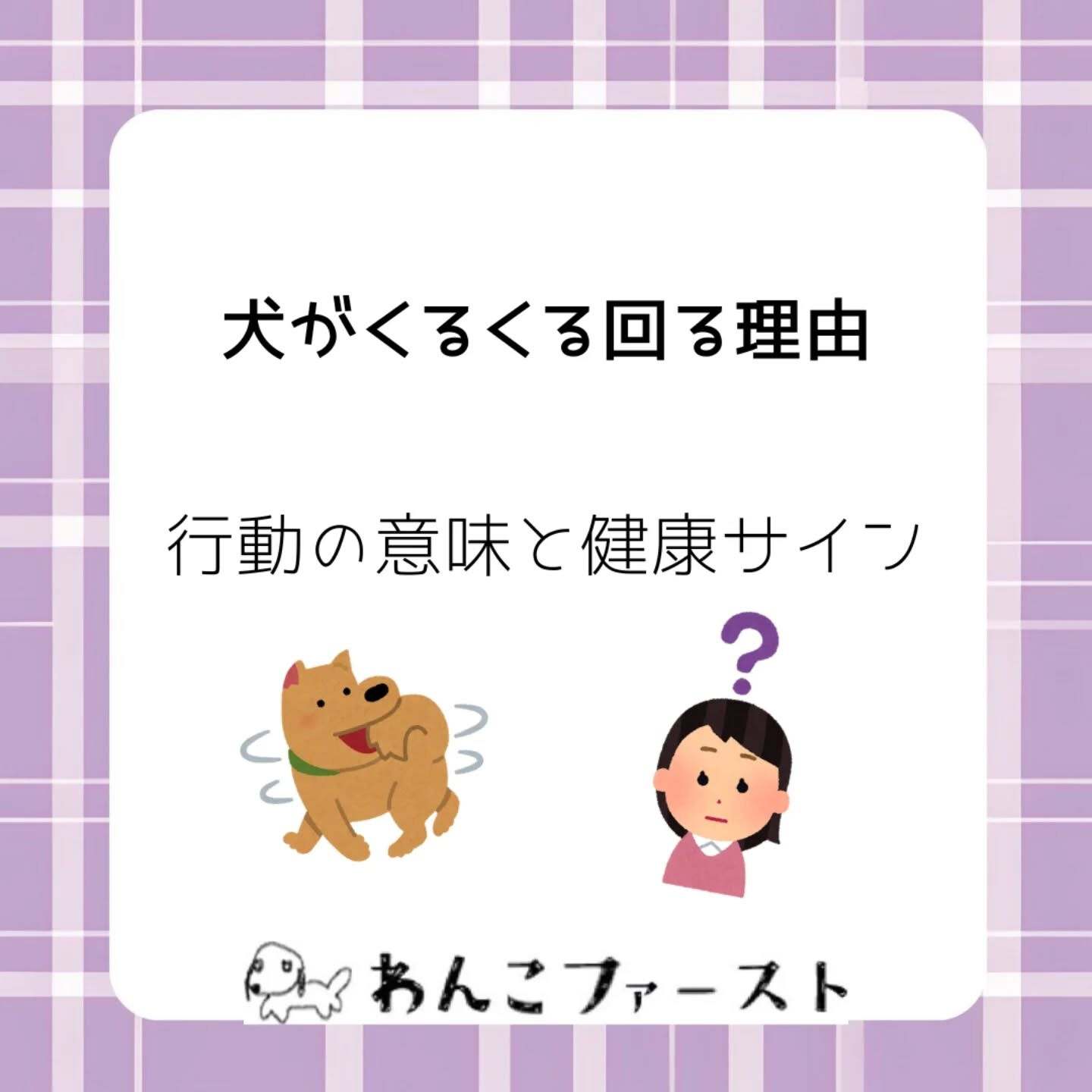 横浜市青葉区のペットシッターわんこファーストです♪