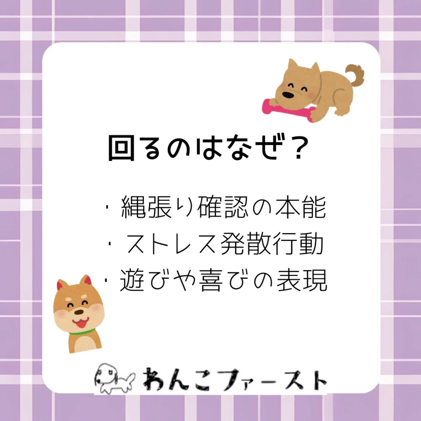 横浜市青葉区のペットシッターわんこファーストです♪