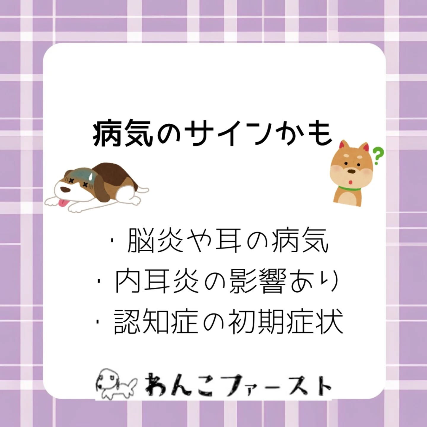 横浜市青葉区のペットシッターわんこファーストです♪