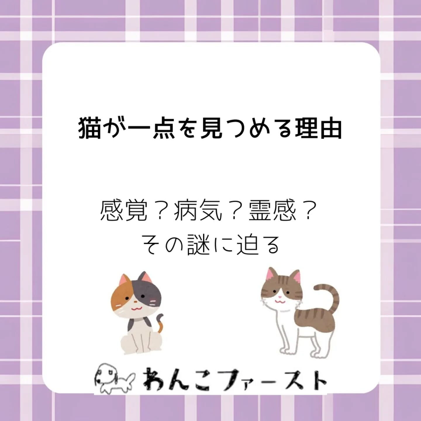横浜市青葉区のペットシッターわんこファーストです♪