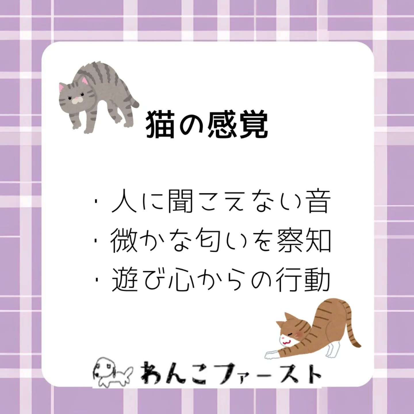 横浜市青葉区のペットシッターわんこファーストです♪