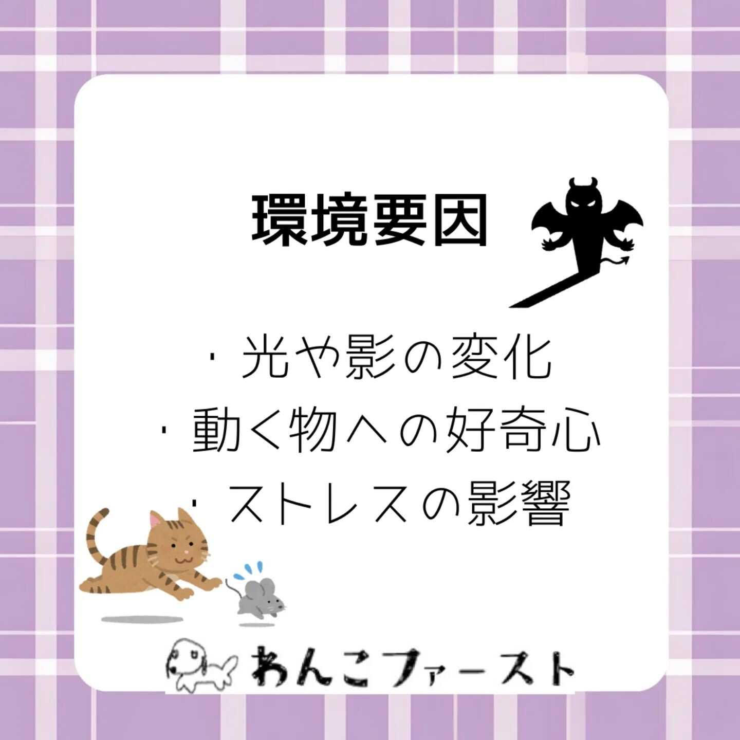 横浜市青葉区のペットシッターわんこファーストです♪