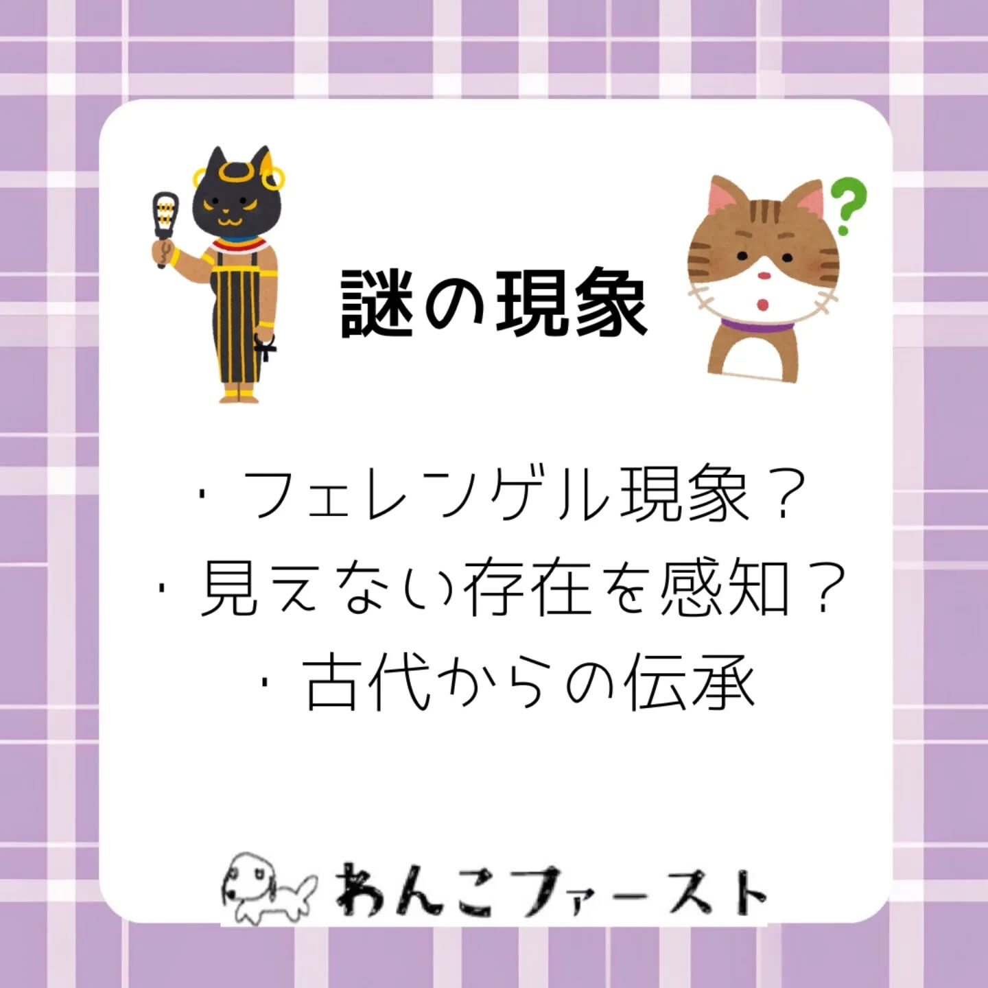 横浜市青葉区のペットシッターわんこファーストです♪