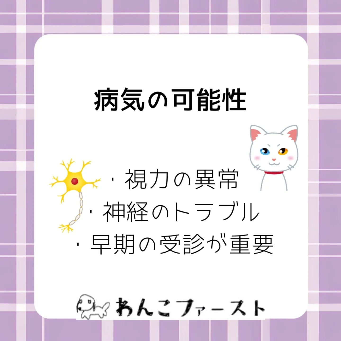 横浜市青葉区のペットシッターわんこファーストです♪