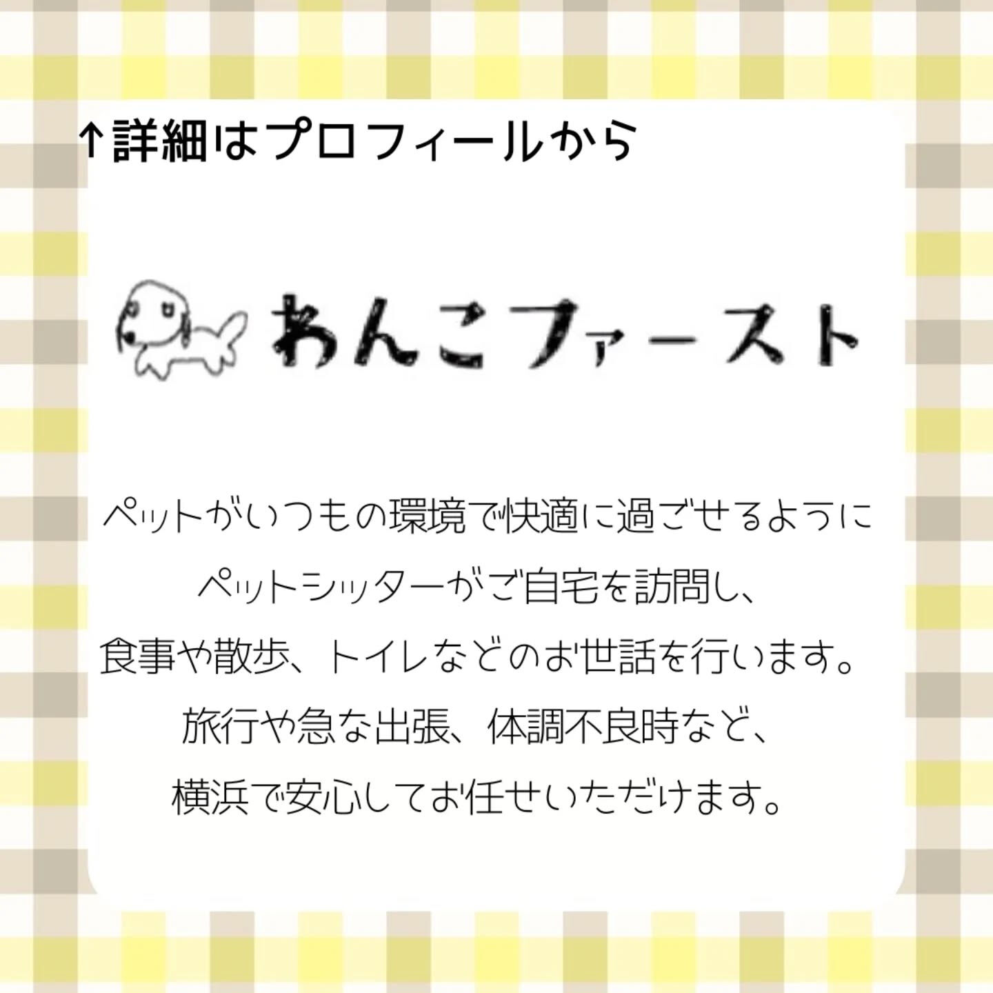 横浜市青葉区のペットシッターわんこファーストです♪