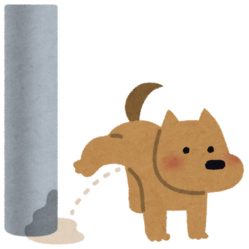 ブログ