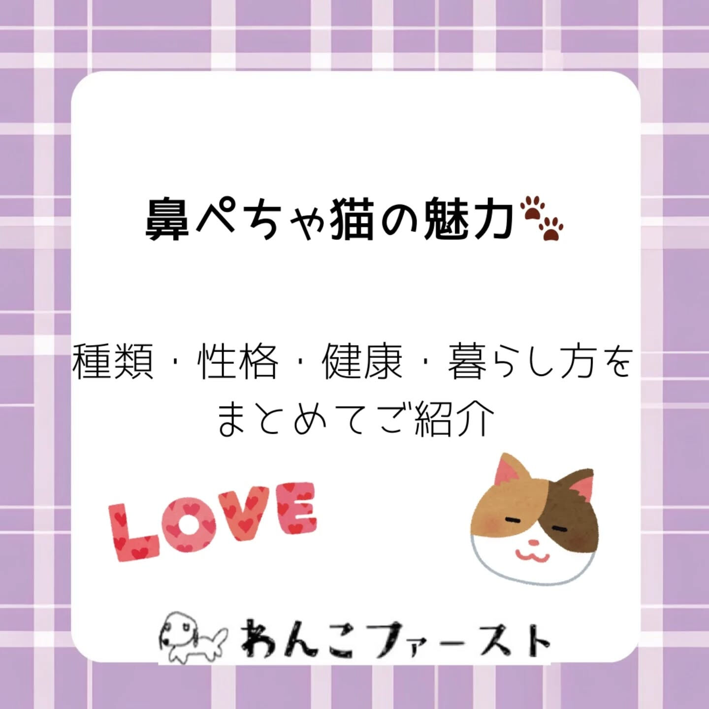 横浜市青葉区のペットシッターわんこファーストです♪
