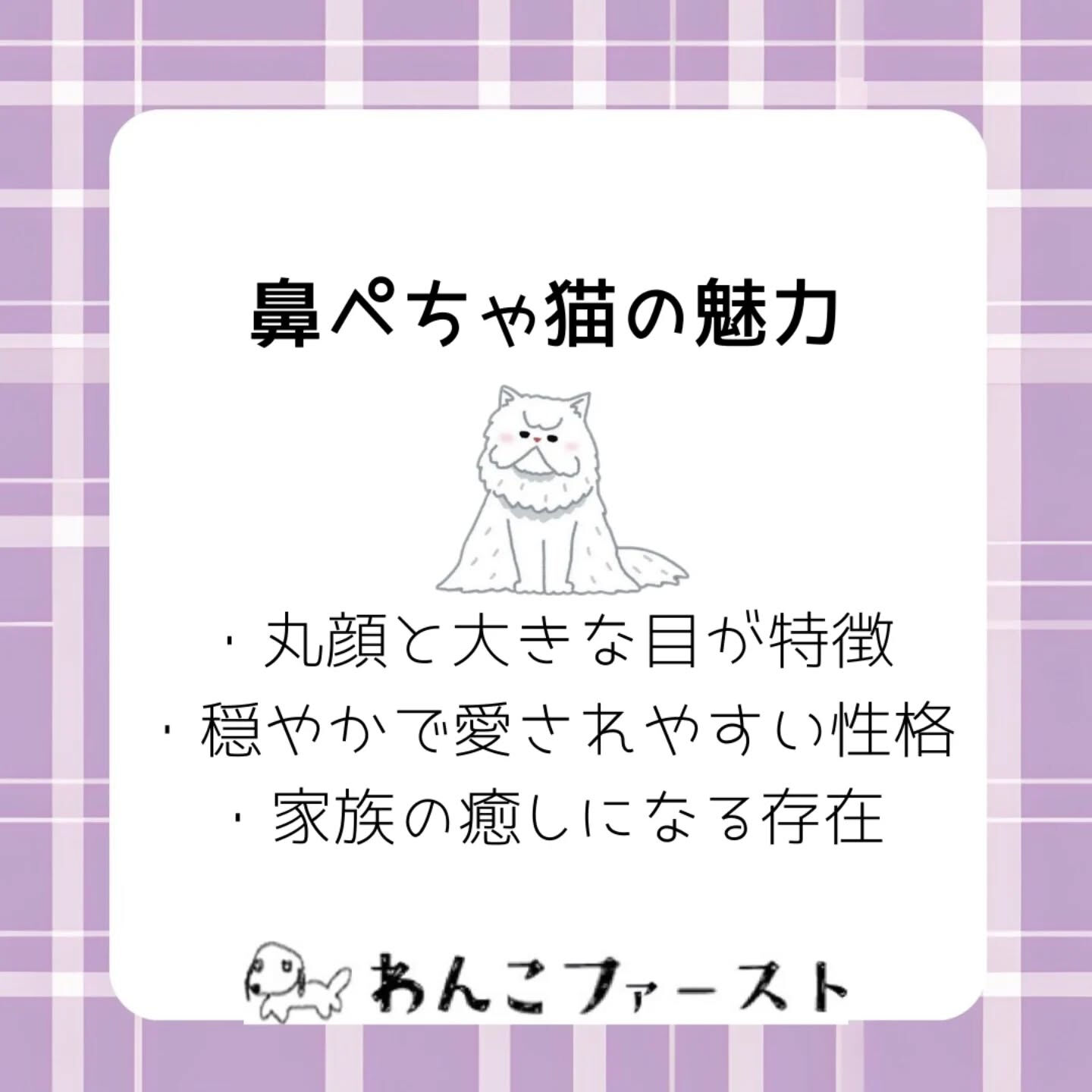 横浜市青葉区のペットシッターわんこファーストです♪