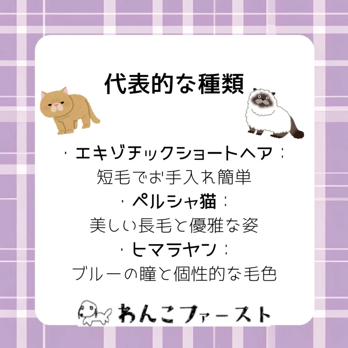 横浜市青葉区のペットシッターわんこファーストです♪
