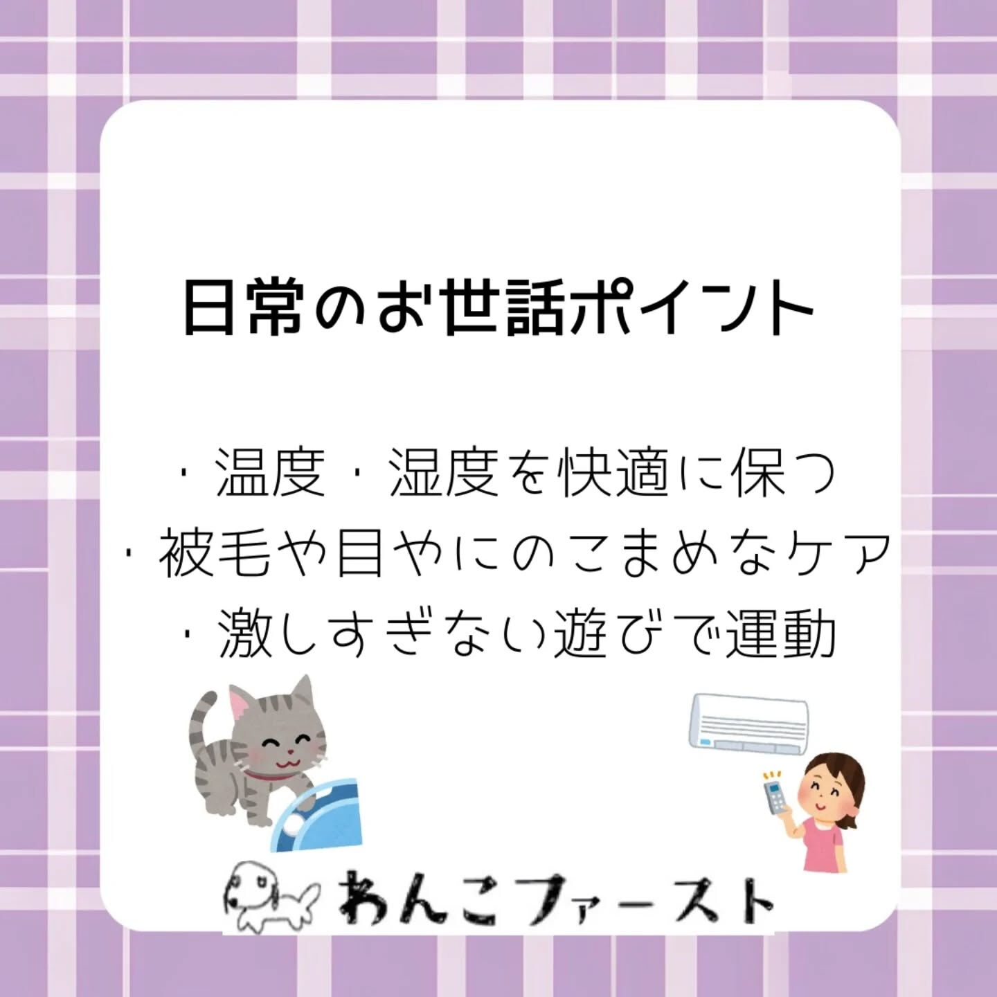 横浜市青葉区のペットシッターわんこファーストです♪