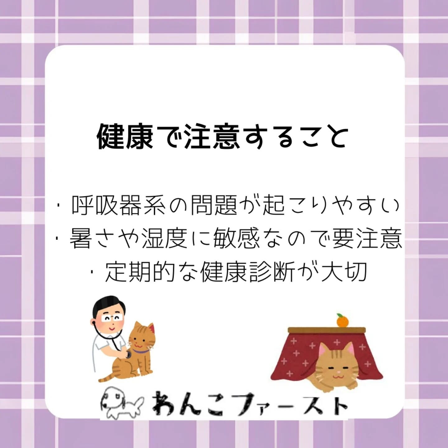 横浜市青葉区のペットシッターわんこファーストです♪