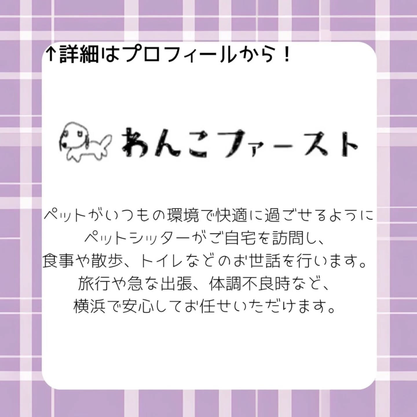 横浜市青葉区のペットシッターわんこファーストです♪