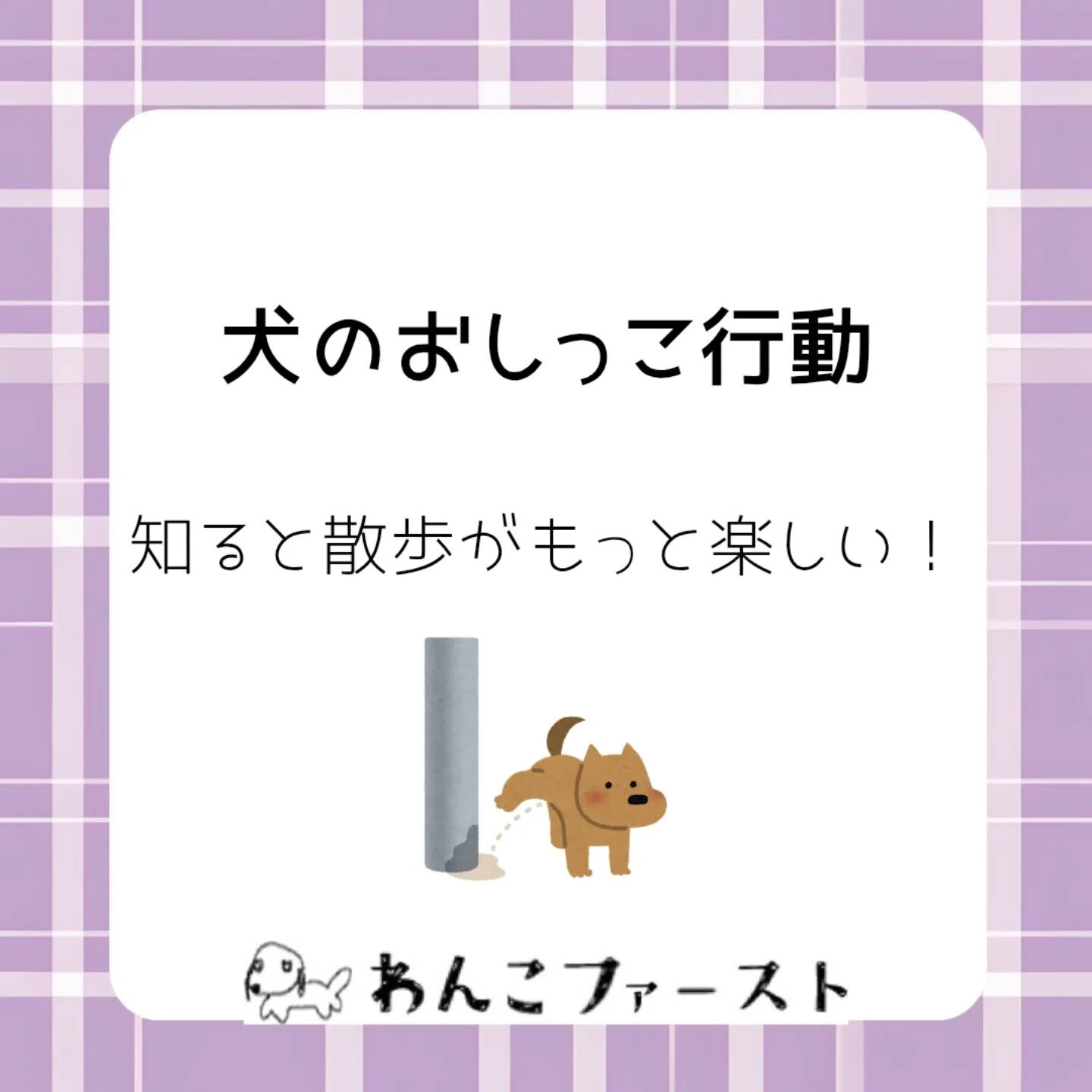 横浜市青葉区のペットシッターわんこファーストです♪