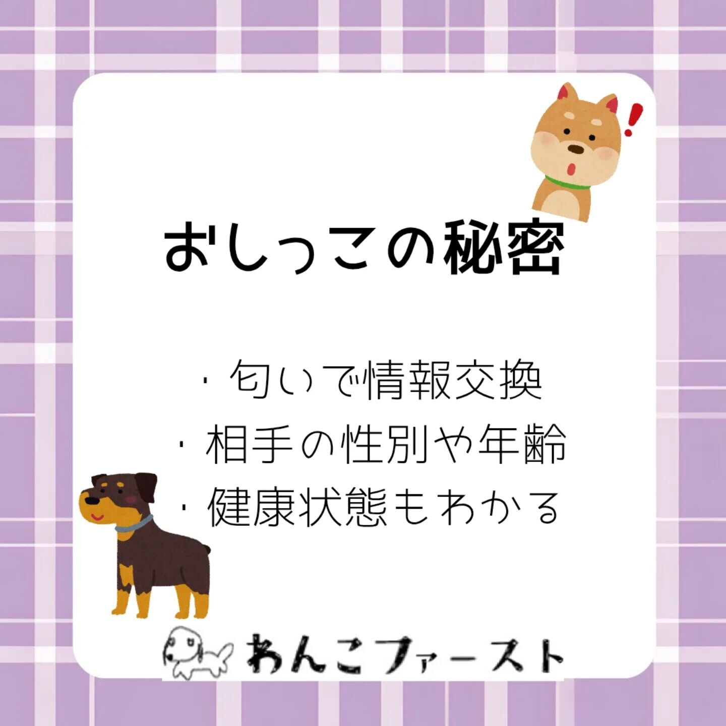 横浜市青葉区のペットシッターわんこファーストです♪