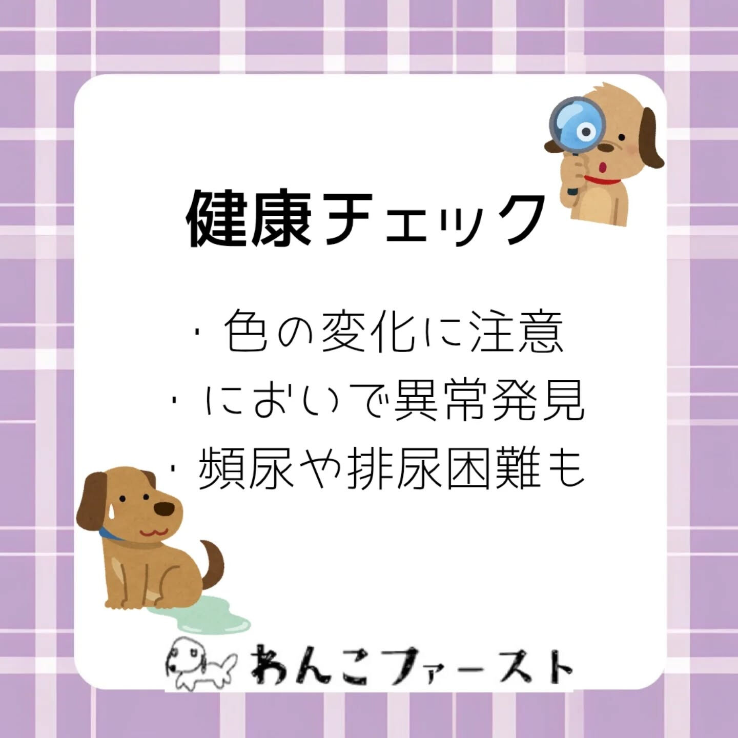 横浜市青葉区のペットシッターわんこファーストです♪