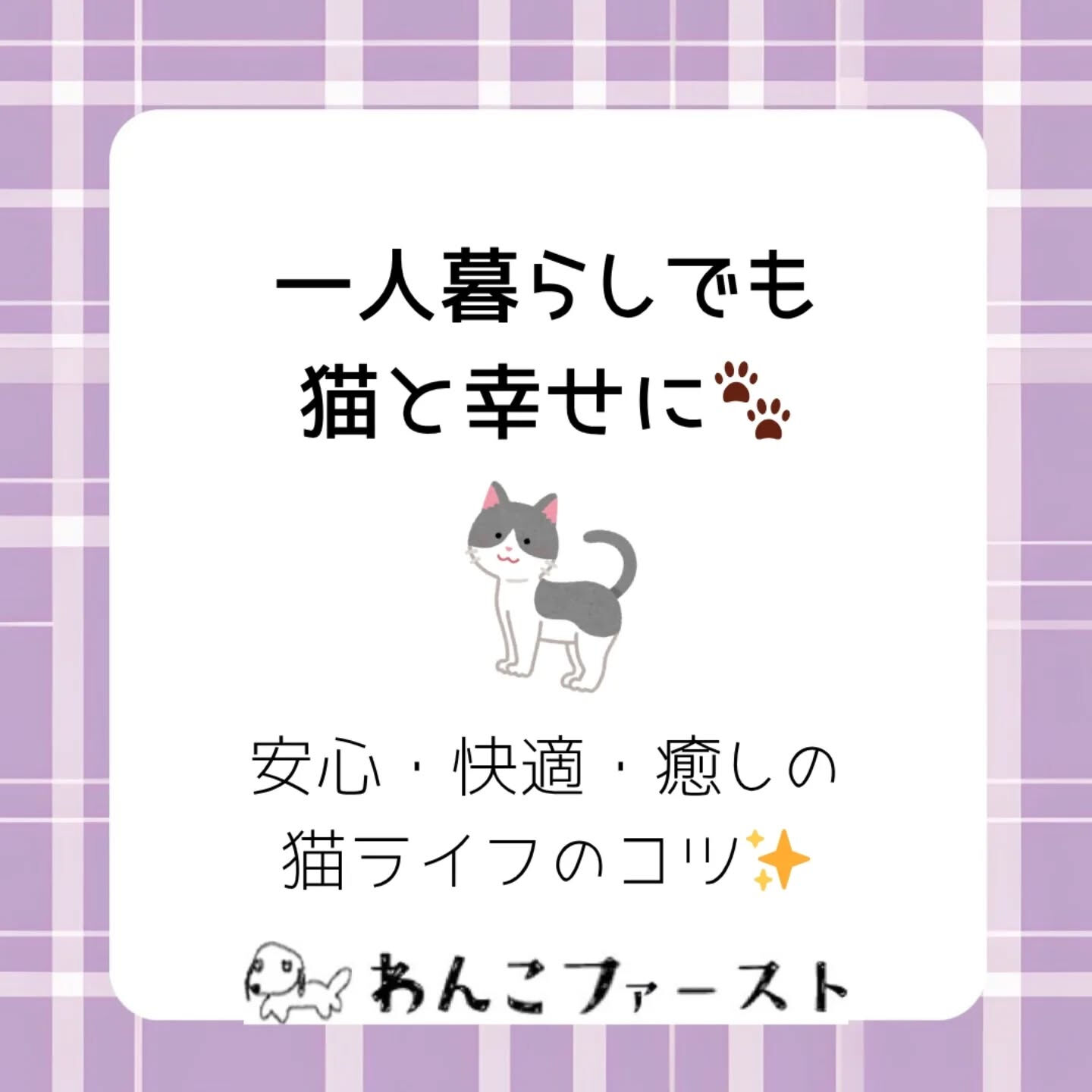 横浜市青葉区のペットシッターわんこファーストです♪