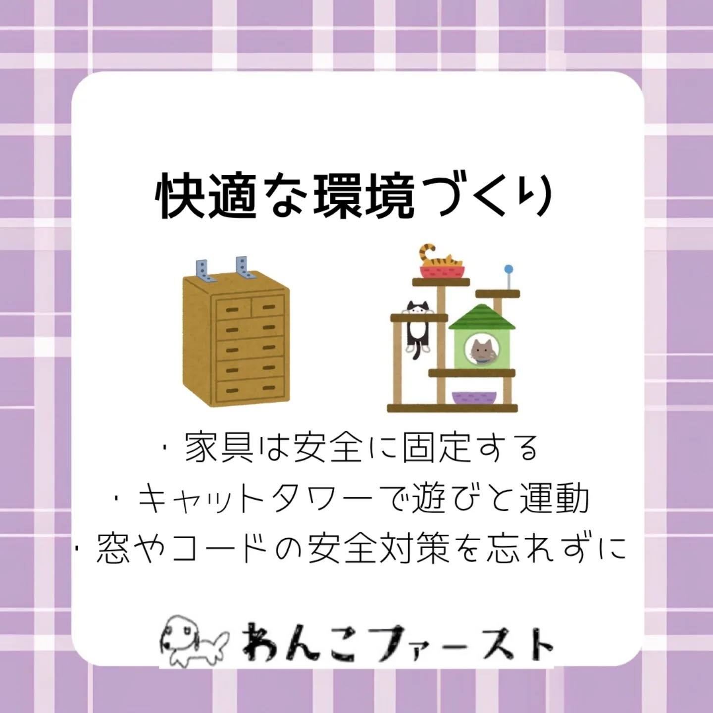 横浜市青葉区のペットシッターわんこファーストです♪