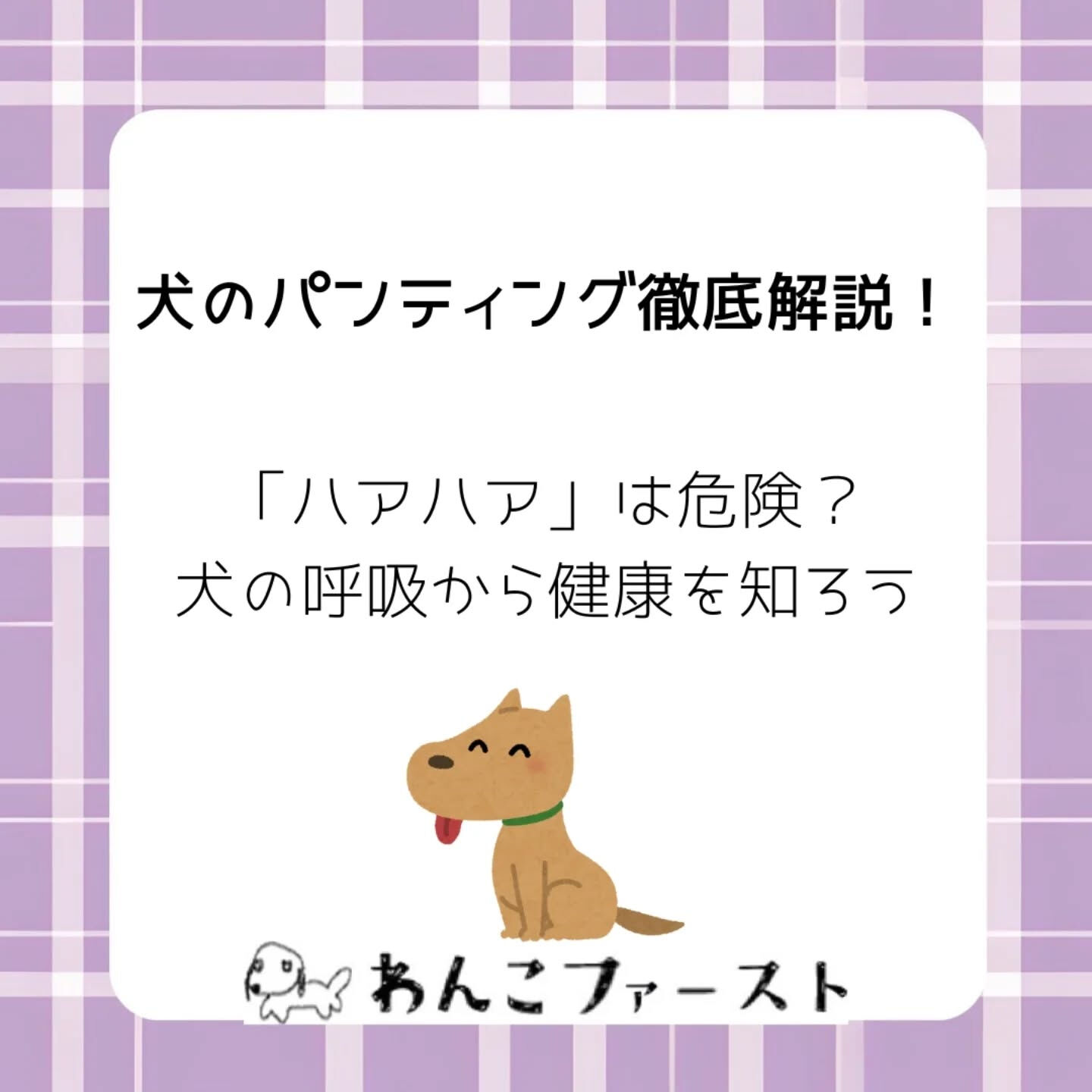 横浜市青葉区のペットシッターわんこファーストです♪