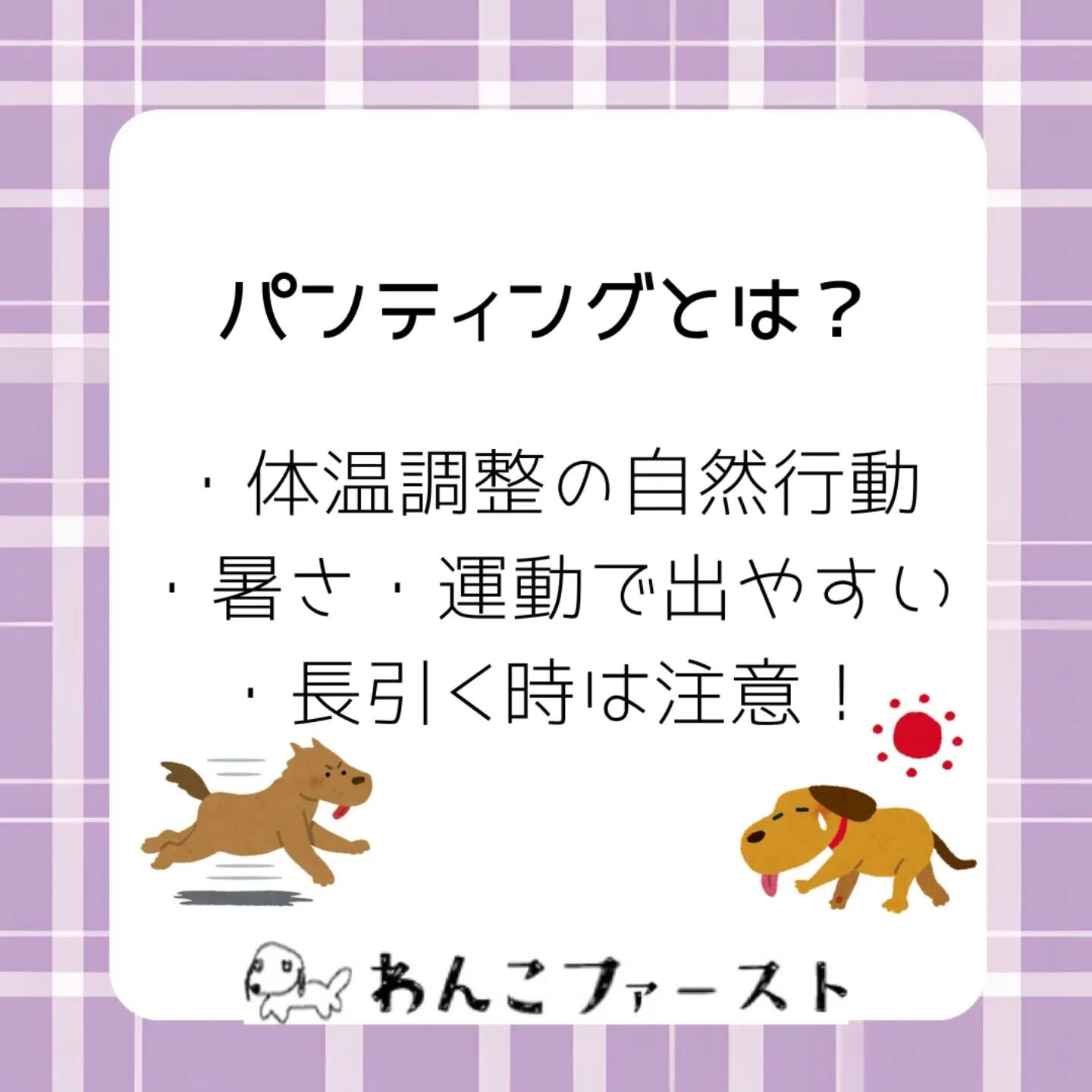 横浜市青葉区のペットシッターわんこファーストです♪